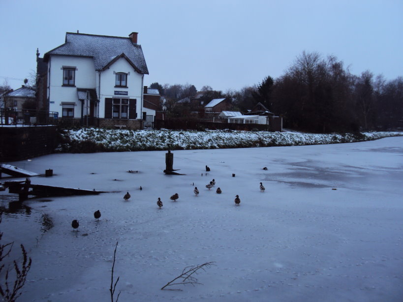 nivelles4959 un froid de canard.jpg